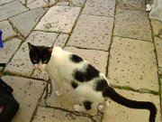 DSC01267