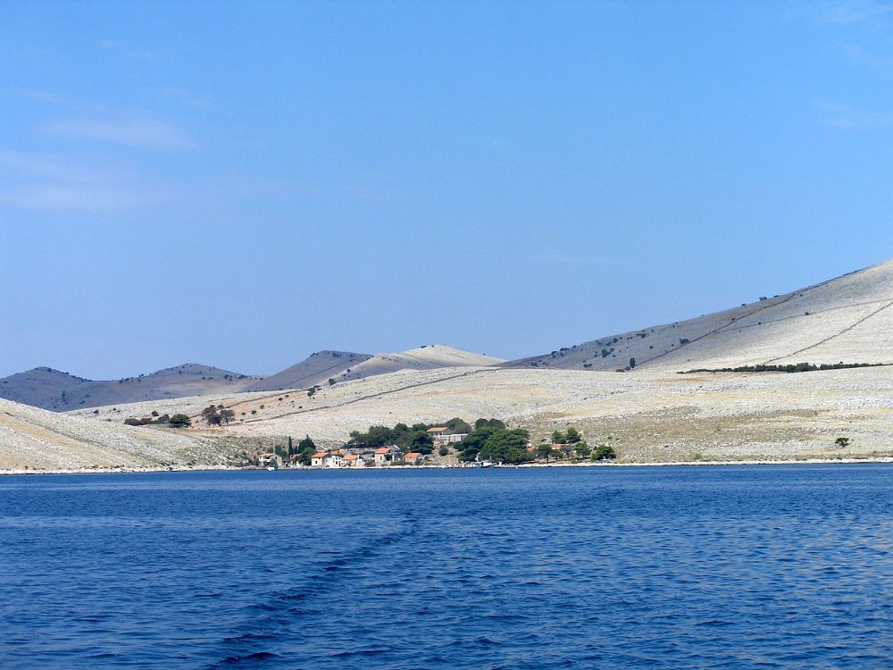 P8235775.JPG