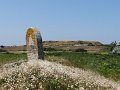 DSC02198