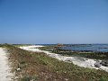 DSC02199