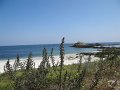 DSC02204
