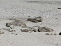 DSC02209