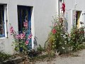 DSC02219