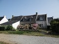 DSC02233