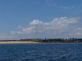 DSC02520