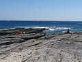 DSC02730