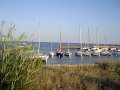 DSC02781
