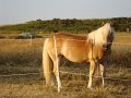 DSC02788