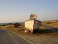 DSC02789