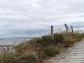 DSC02875