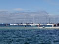 DSC02905