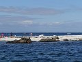 DSC02906