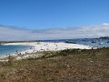 DSC02924