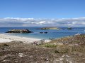 DSC02931