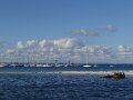 DSC02940
