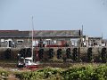 DSC03066