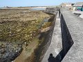 DSC03072