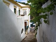 P6230561