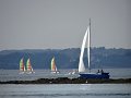 DSC02378
