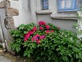DSC02397