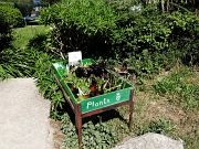 DSC05401