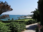DSC05405