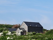 DSC05414