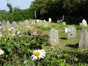 DSC05420