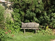 DSC05447