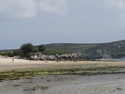 DSC05564