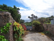 DSC05634