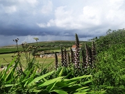 DSC05647