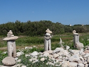 DSC05703