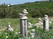 DSC05704