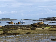 DSC05830