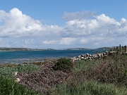 DSC05833