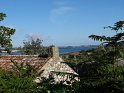 DSC06097