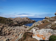 DSC06236