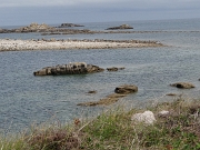 DSC06016