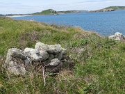 DSC06017
