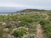 DSC06025