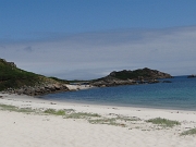 DSC06030