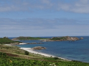 DSC06036