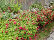 DSC06044