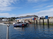 DSC06105