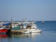 DSC02562