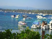 DSC02569