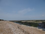DSC01896