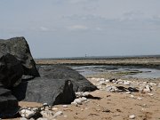 DSC01905