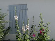 DSC01927